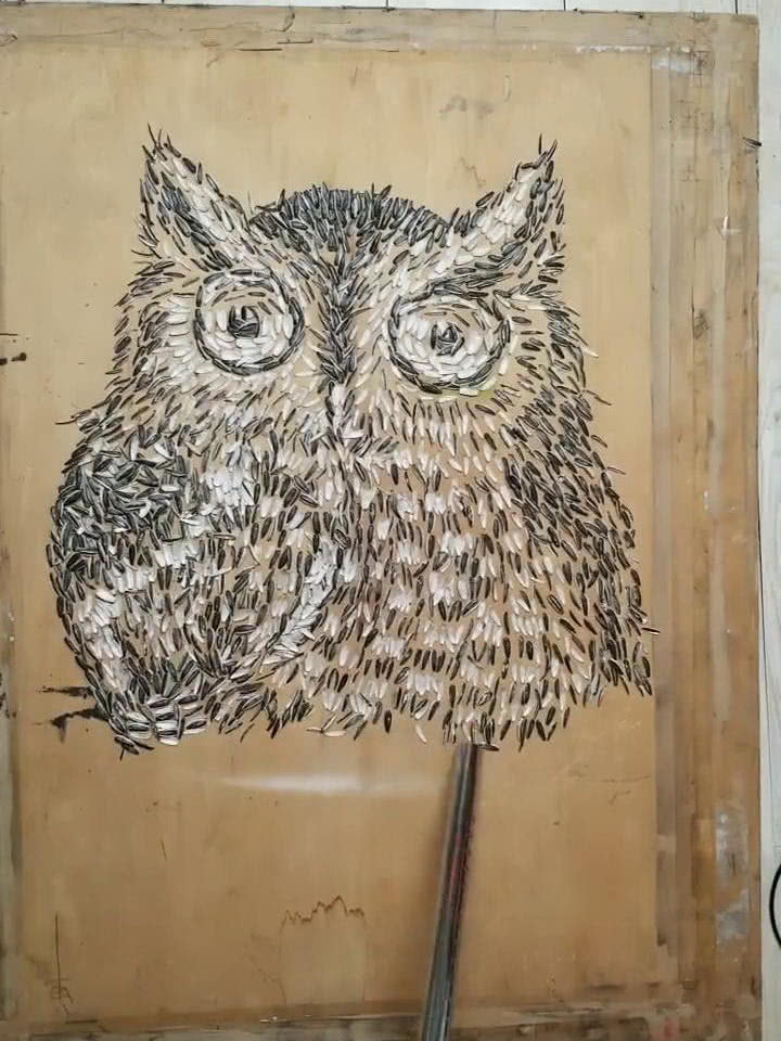 美术生用瓜子皮画猫头鹰,纤毛毕现,网友:为何如此优秀?
