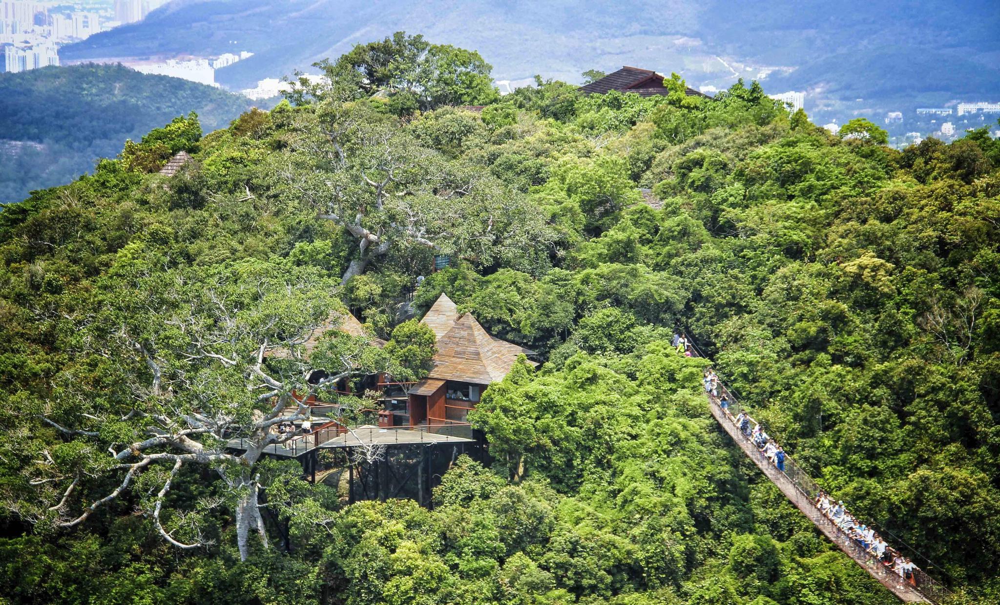 三亚网红圣地——亚龙湾热带天堂森林公园