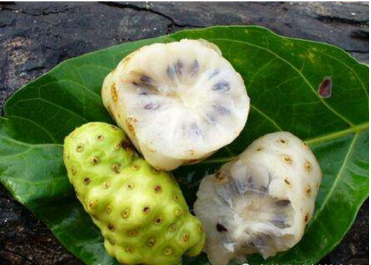 山里这种果子味道太难闻,连牲畜都不吃,如今却火到了国外