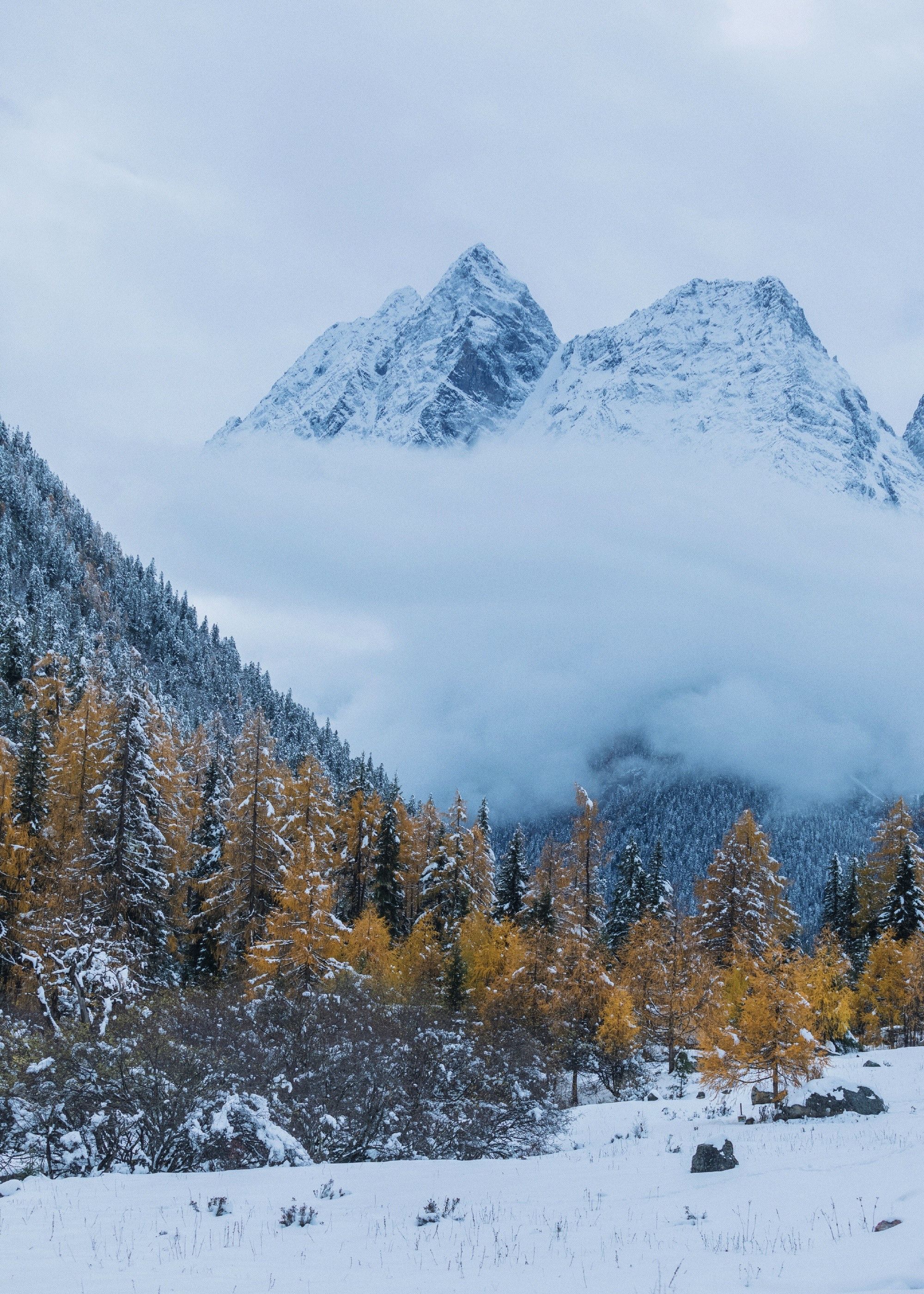 四姑娘山风景,美图秀秀,旅行随拍_高清图集_新浪网