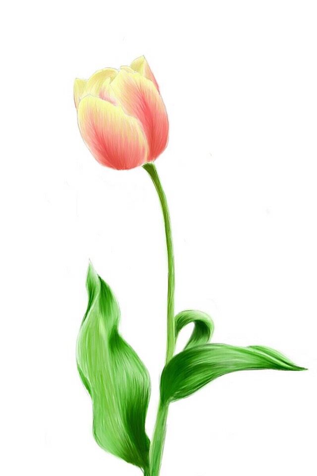 一朵花壁纸 时光很慢 我在等一朵花开的时间