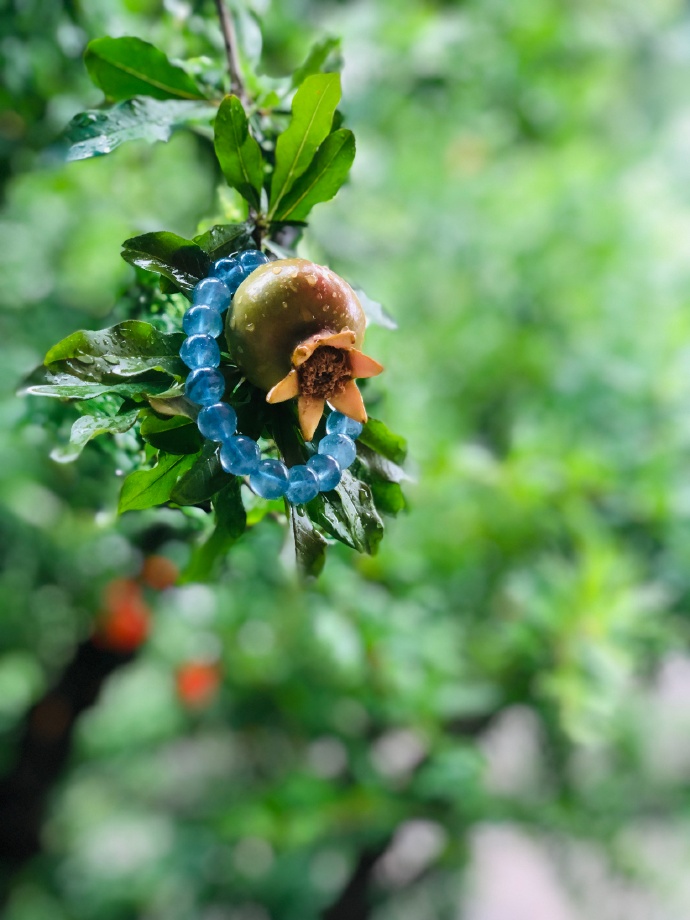 海蓝宝和海纹石哪个贵?