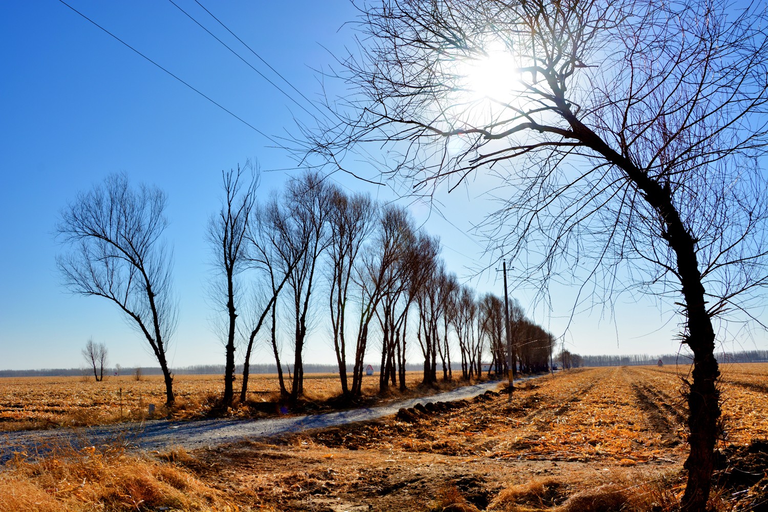 北方冬天的旷野让你心情开阔原创摄影