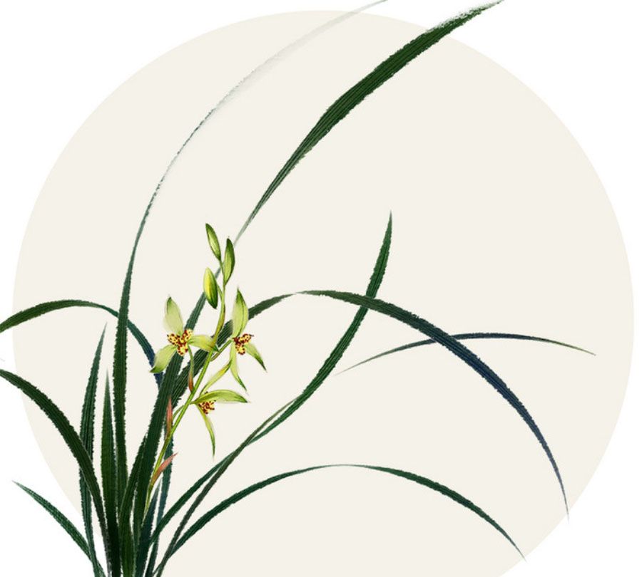 花中君子之空谷幽香-国画中的兰花