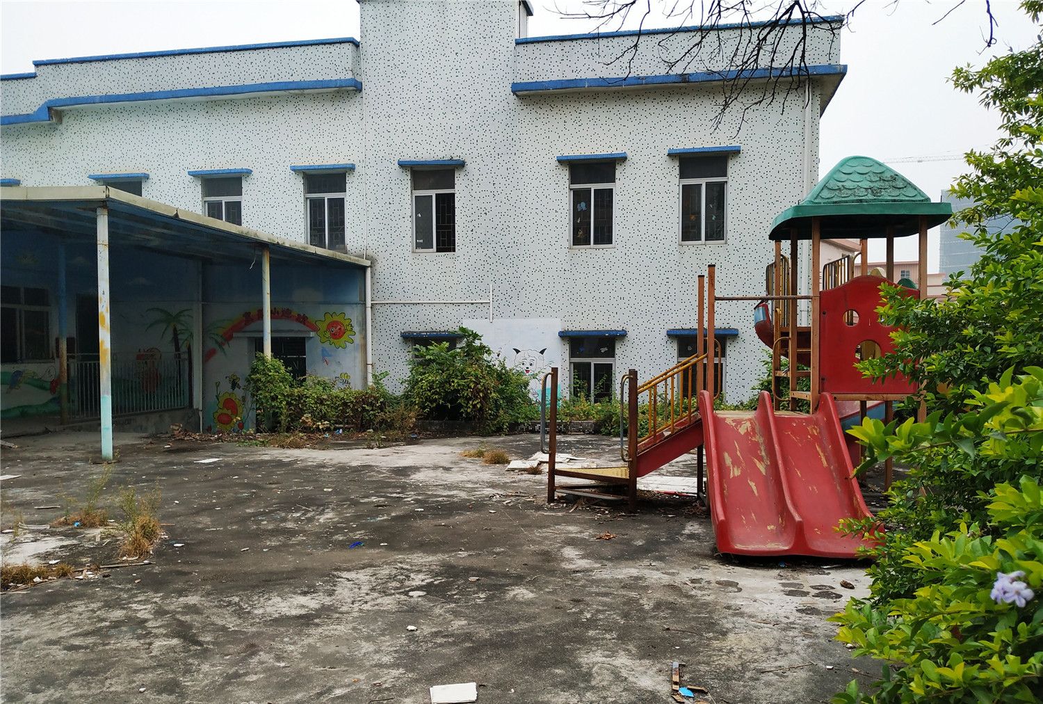 东莞城中村一所空置的幼儿园,像荒废的乐园,里面已长草|幼儿园|空置|城中村|乐园|东莞_新浪新闻