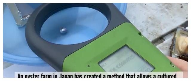 日本一公司从死去宠物骨头中提取物质做成珍珠，供悲伤的主人佩戴