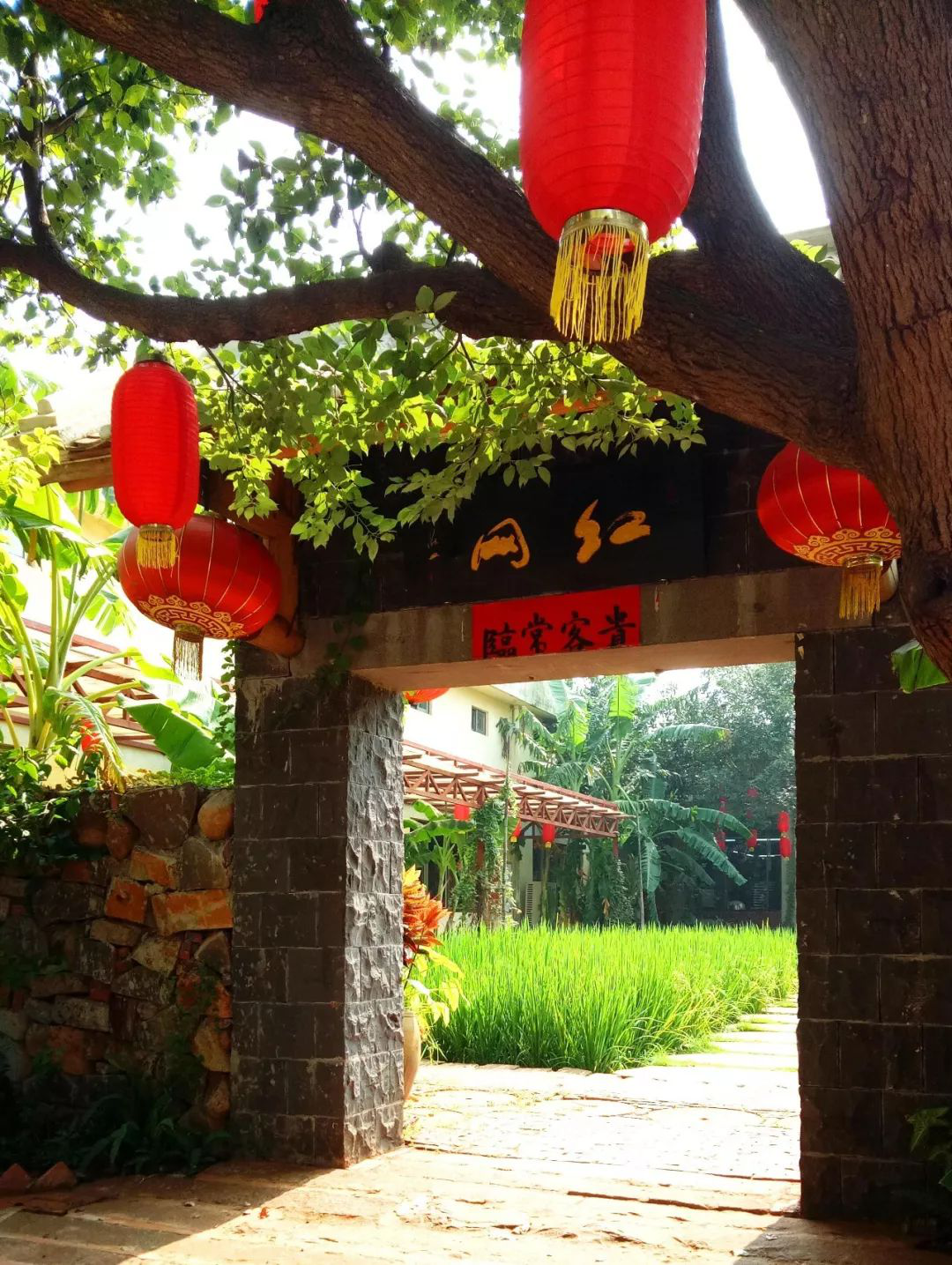 湛江农行邀您游茂德公大观园