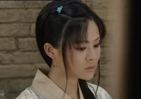 养子不教父之过之周芸儿真假国主作为故事的开端,当然是起引子作用的