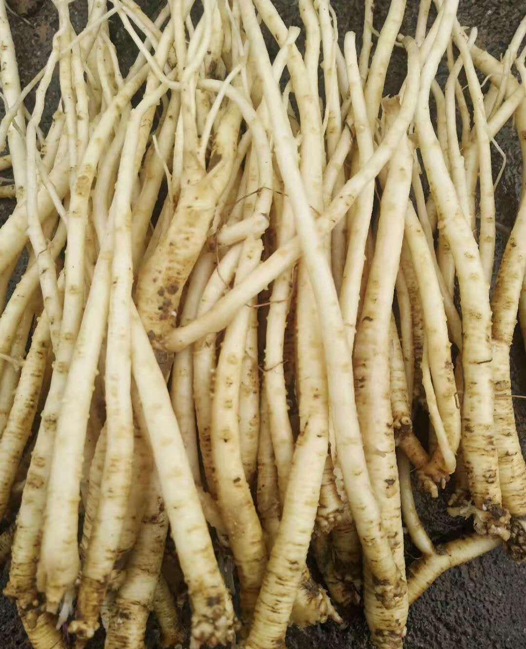 这个食材你认识吗|党参|猪脚汤|排骨汤_新浪新闻