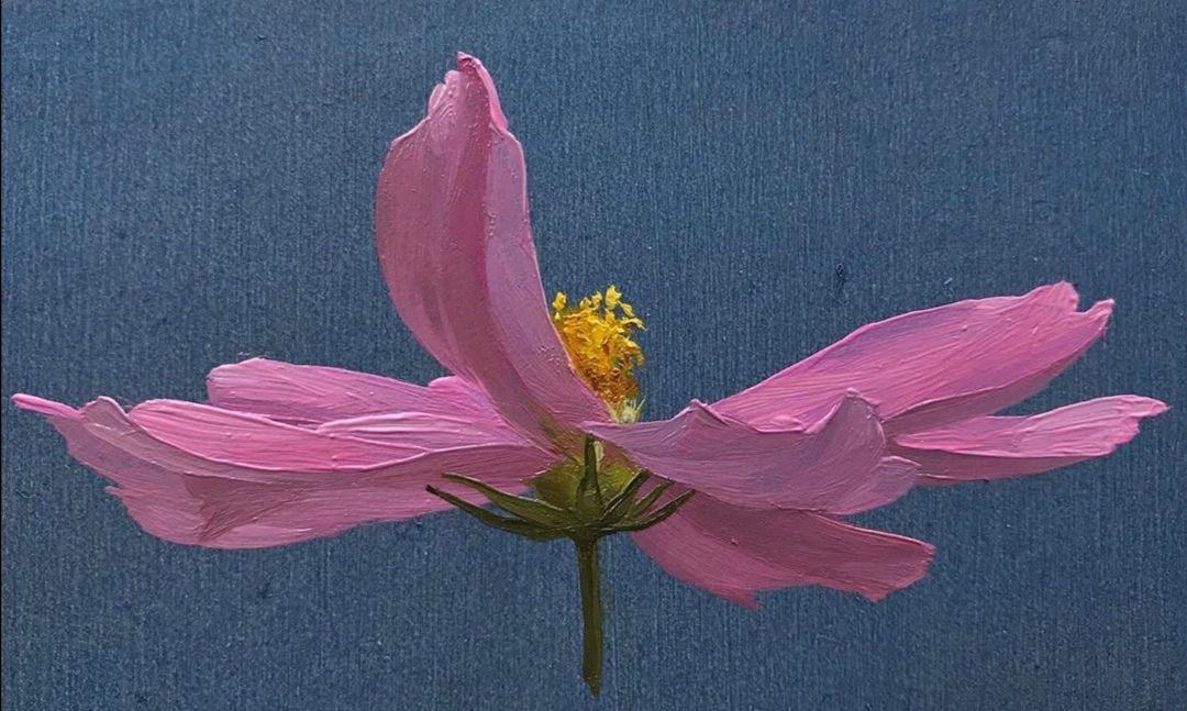 ins网红艺术家花卉油画作品_高清图集_新浪网