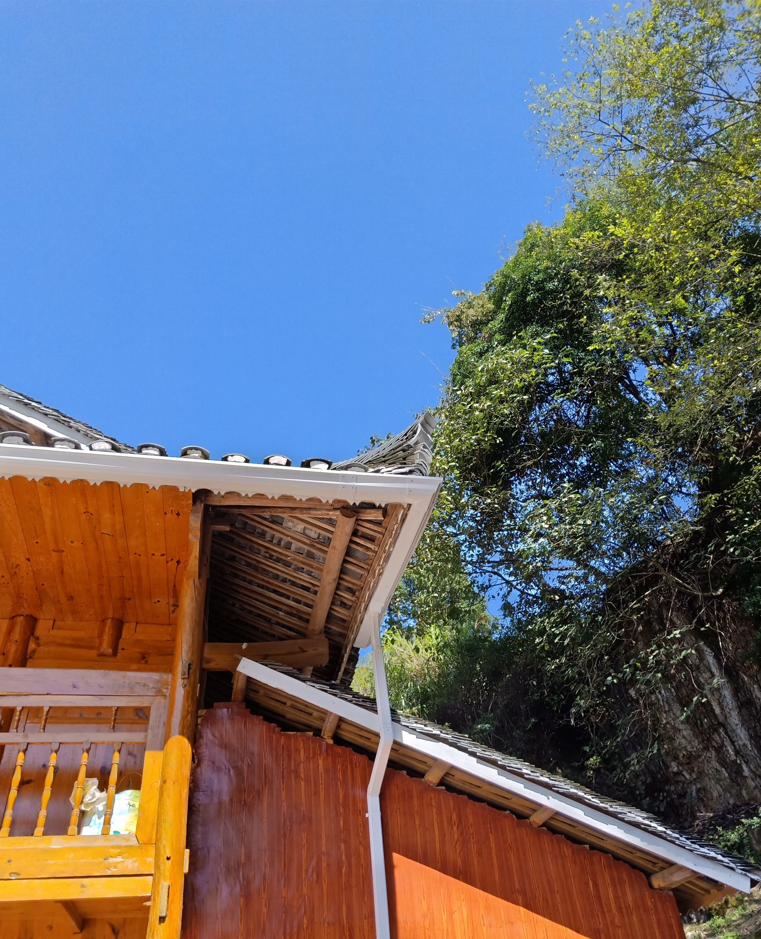 贵州两户人家，将房子盖在悬崖边上，原来房后是另一番风景_凤凰网视频_凤凰网