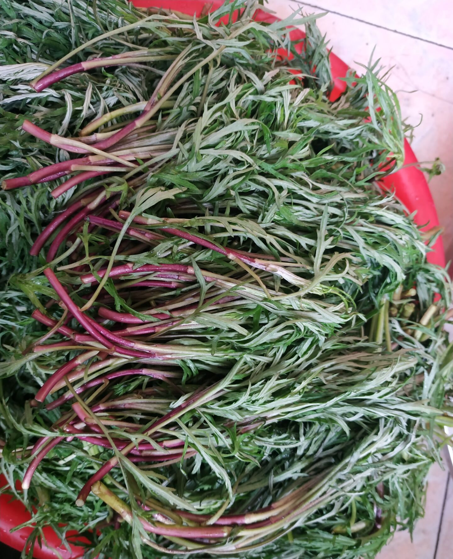 看看这种红梗儿蒿子是不是很诱人口感也不错呢