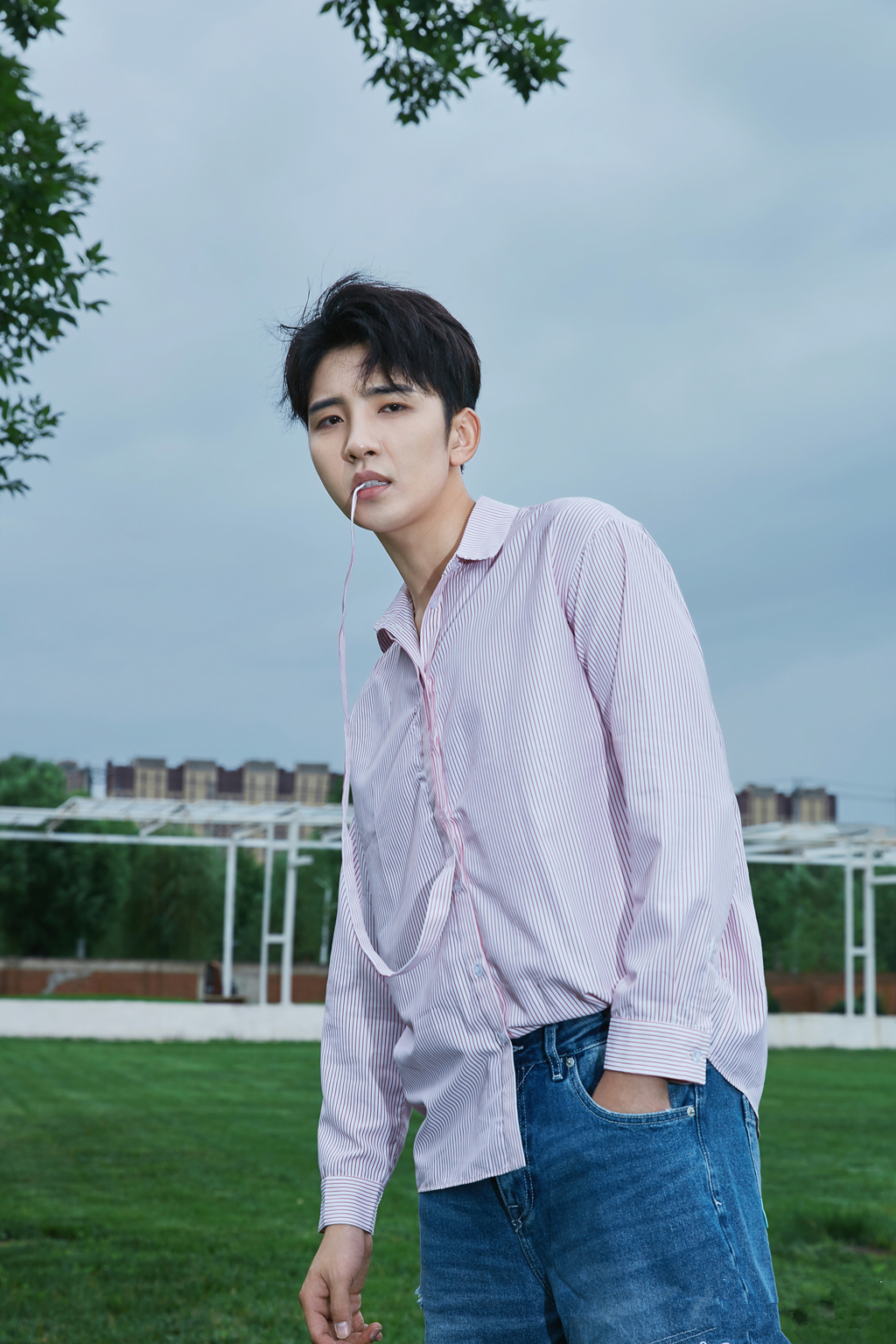 李政军简约大片 清爽惬意电力满格