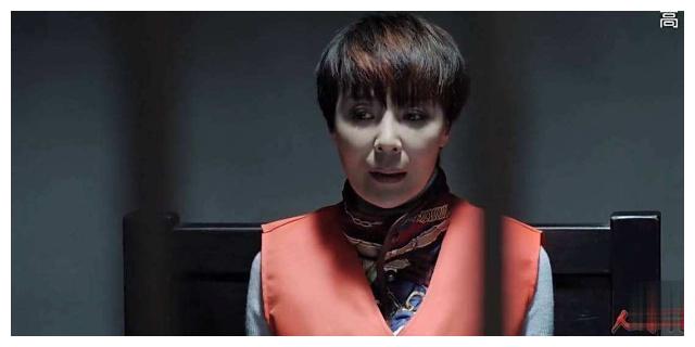 人民的名义:欧阳菁不知道,李达康早已打算离婚,谁注意