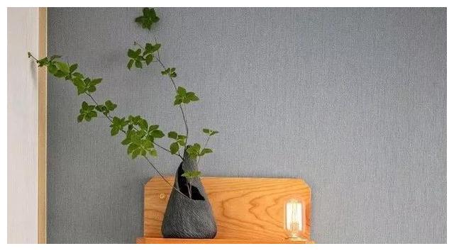 她家复式房，坚持把玄关抬高10公分，然后楼梯设餐柜，完工太实用