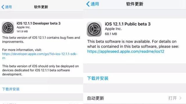 iOS12.1.1 beta 3 彻底关闭,不要怼了