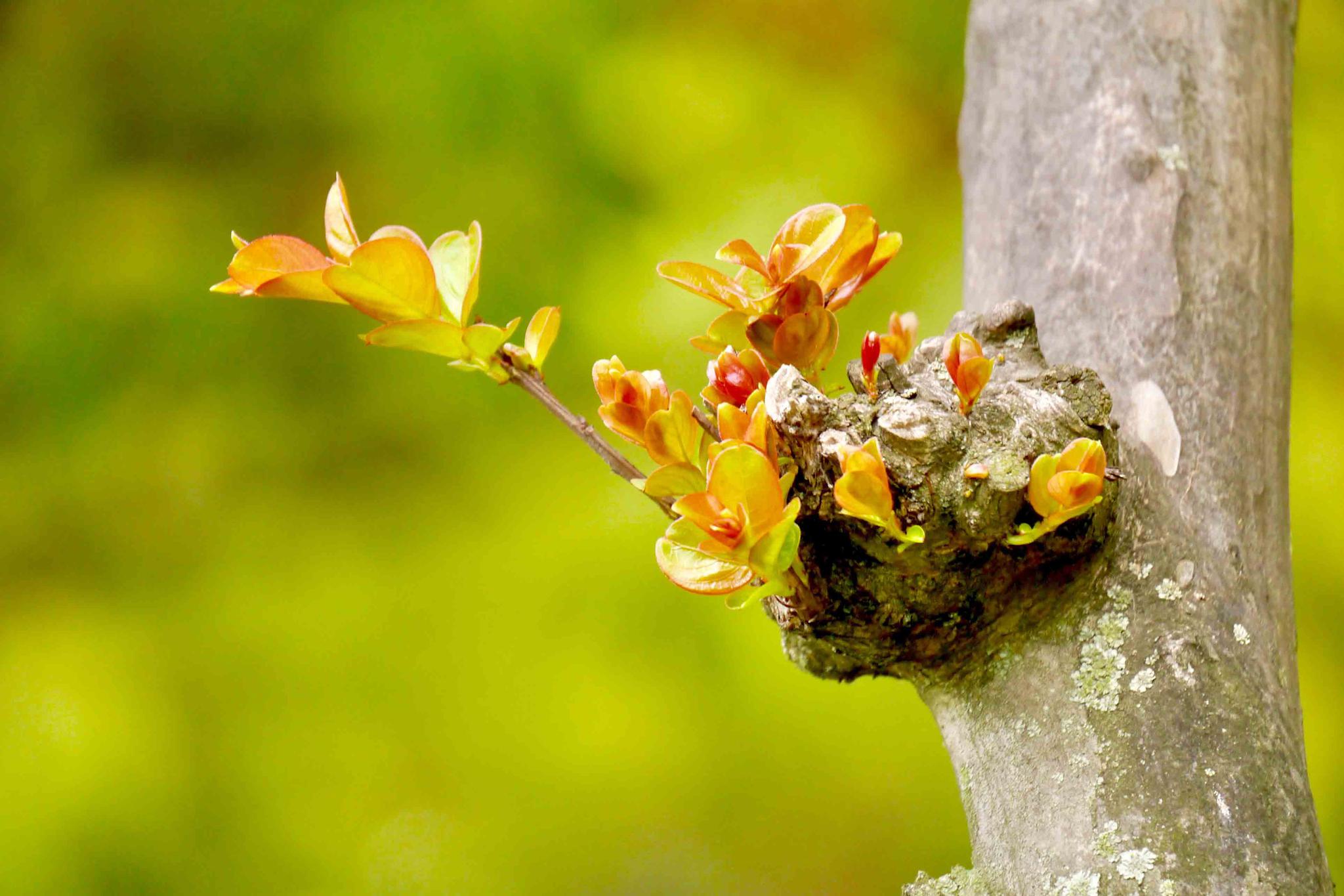 100块约3小时上门人到付款:都市应急服务的平民革命