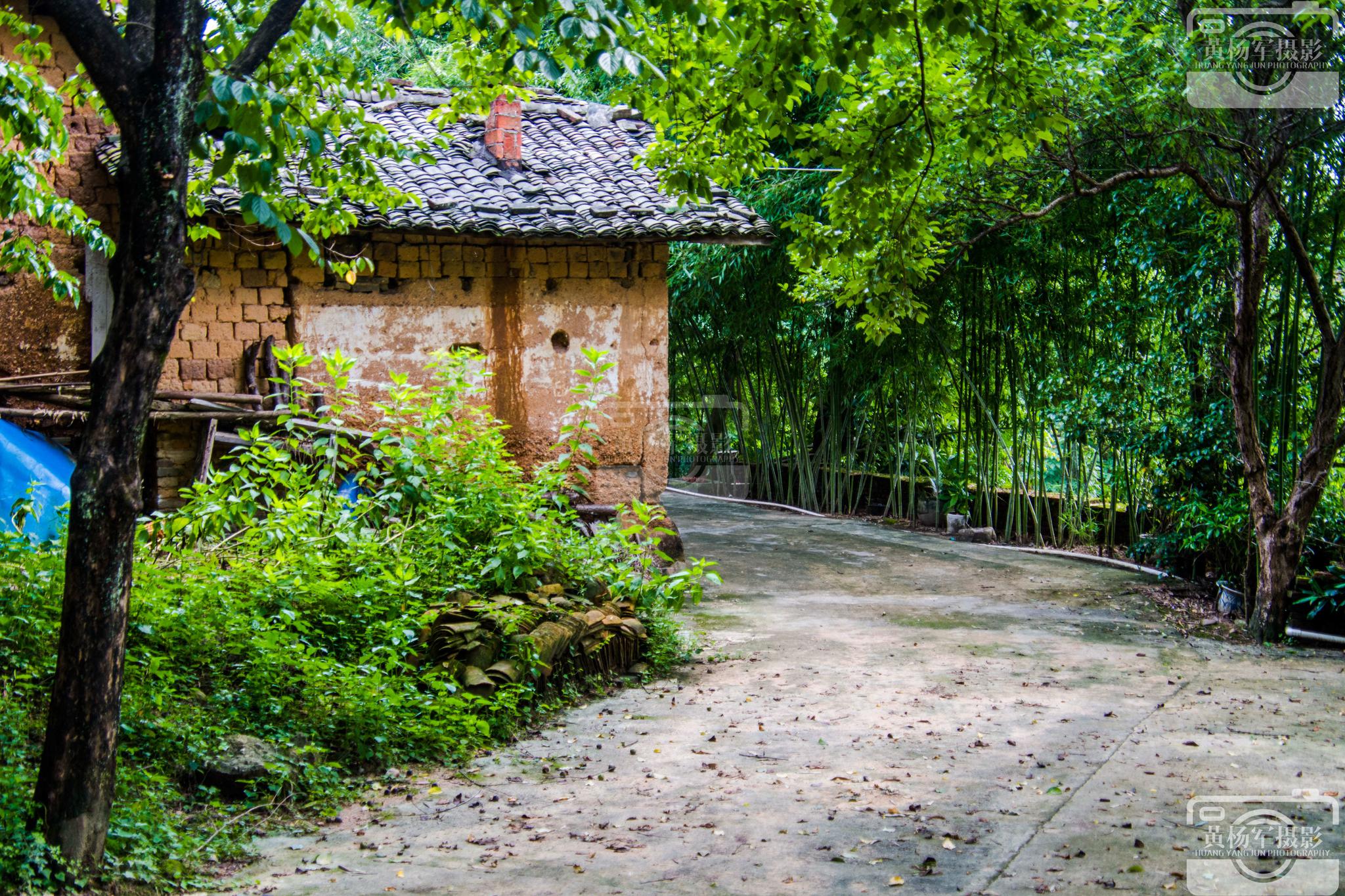 于都县新地村树林中的老屋