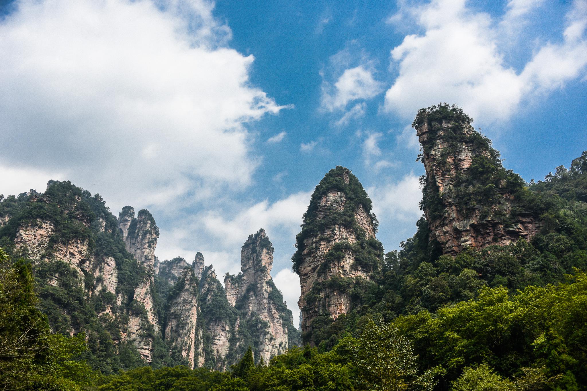 三千峰林八百水,梦回千年张家界,石英砂岩峰林地貌匪夷所思!