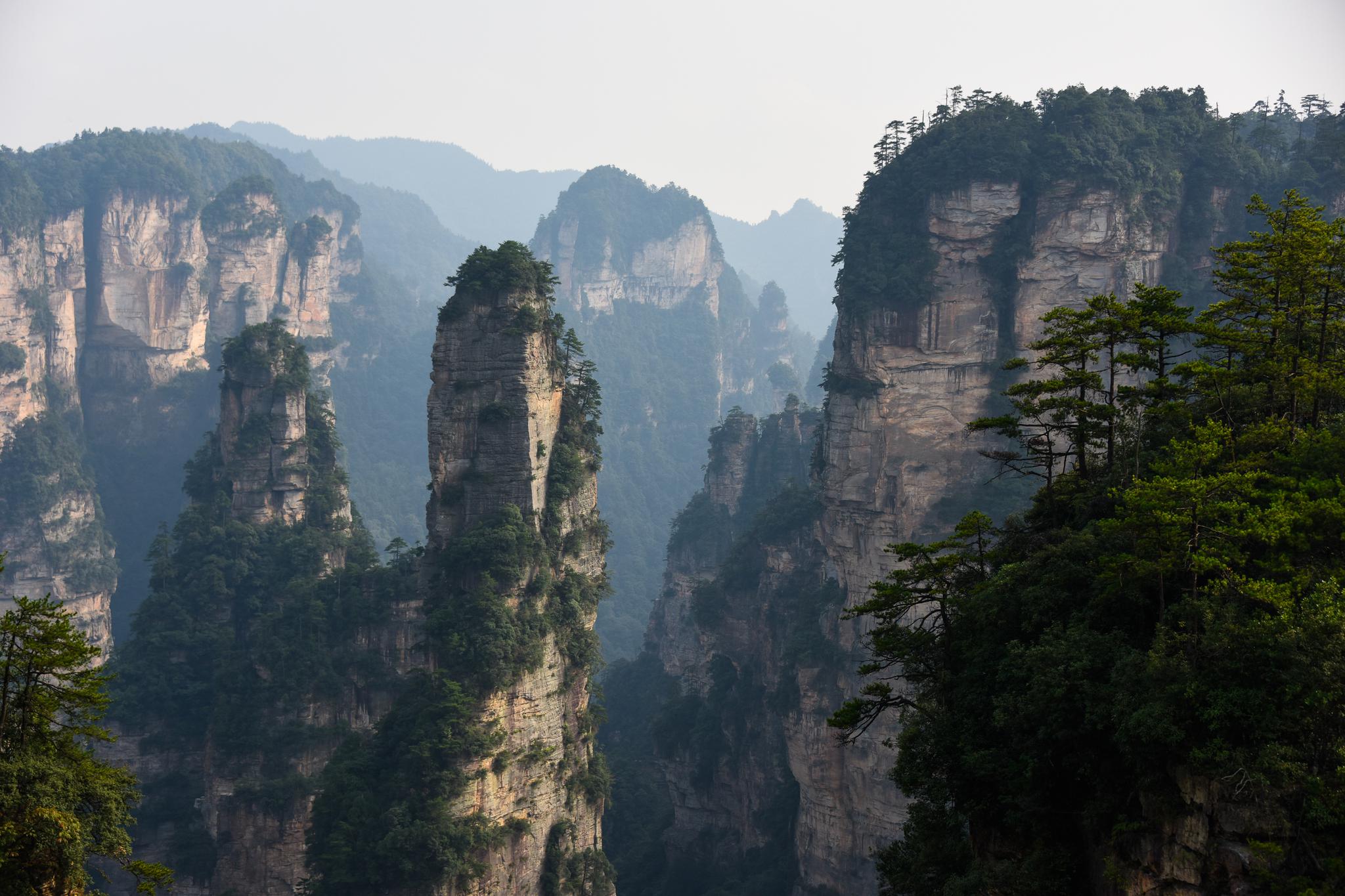 三千峰林八百水,梦回千年张家界,石英砂岩峰林地貌匪夷所思!