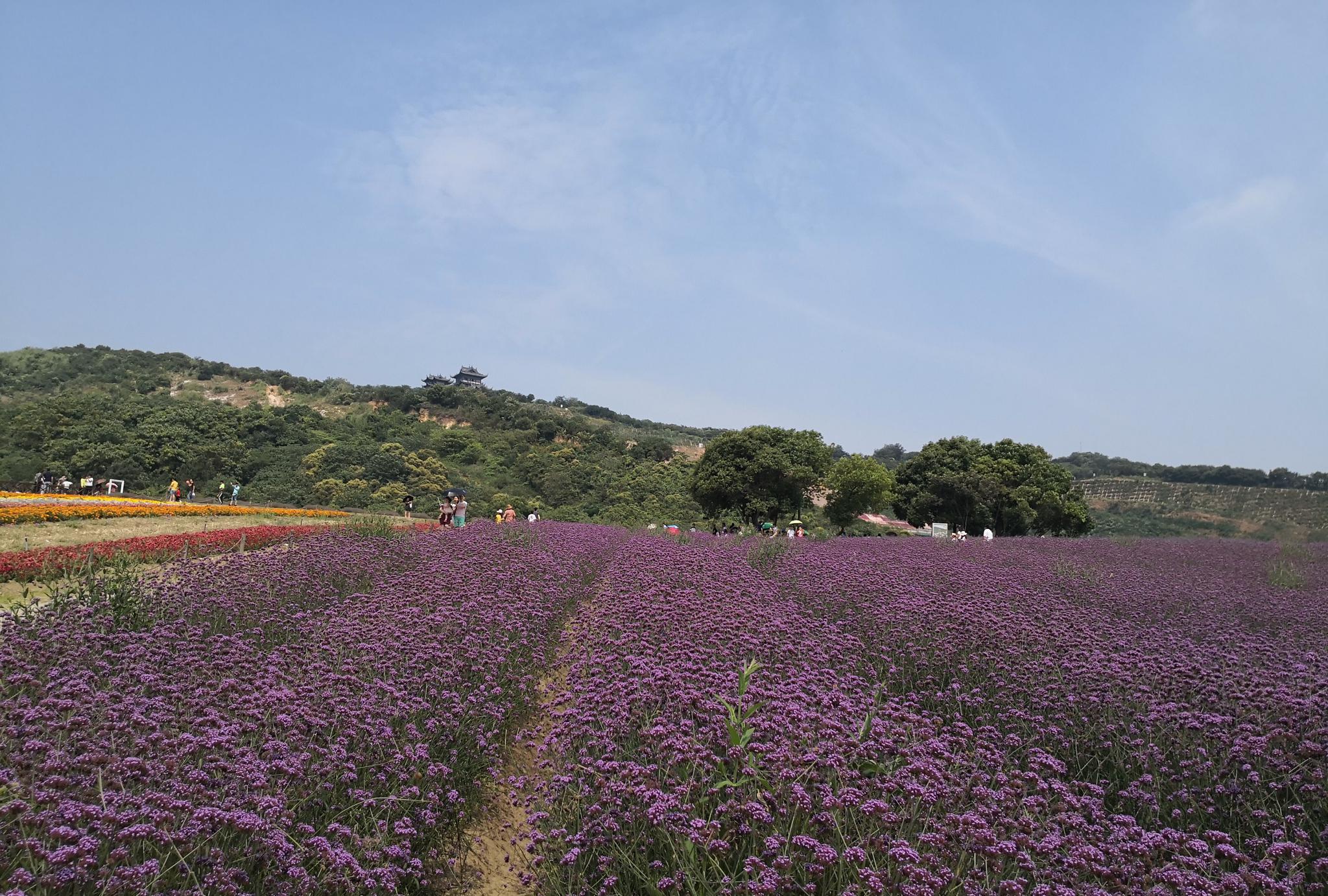 无锡雪浪山,风景美如画,是夏初旅游的好去处
