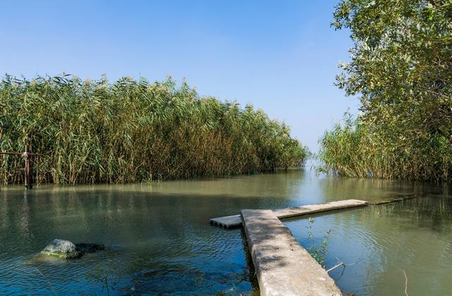 西山是西洞庭山的简称,南北宽11公里,东西长15公里