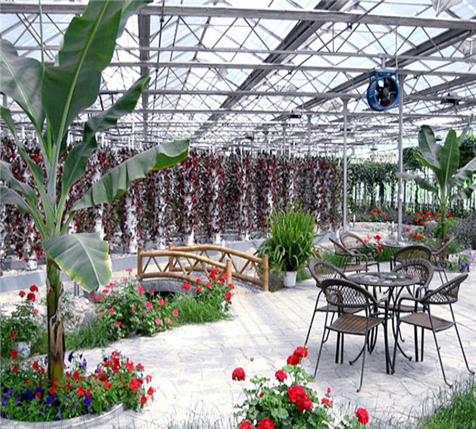智能生态餐厅温室