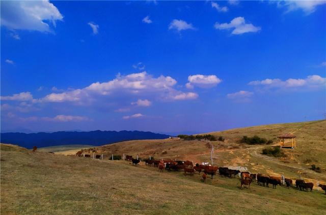 腾冲国家登山健身步道之东山腾冲竟然深藏着这么美丽的草原风光