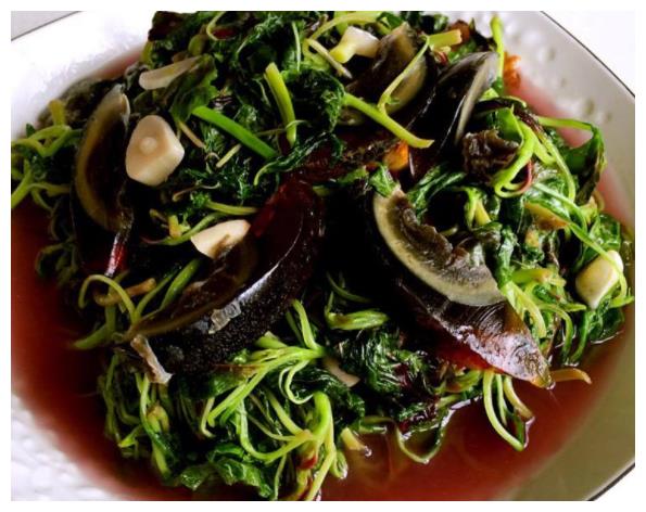 秋分节气到,此碗秋菜少不了,滋补养人,好吃不贵,赛过吃小人参