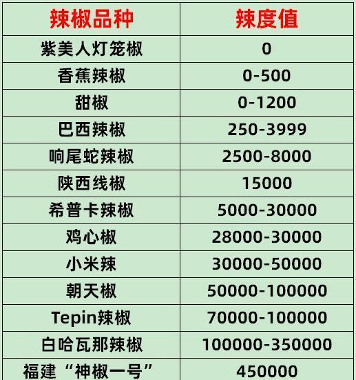 重庆小面将以度数区分辣度,"微辣"恐成历史,目前已