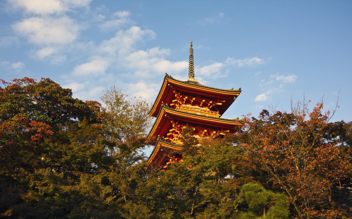 最不欢迎中国人的国家既不是越南也不是缅甸可游客就是喜欢去