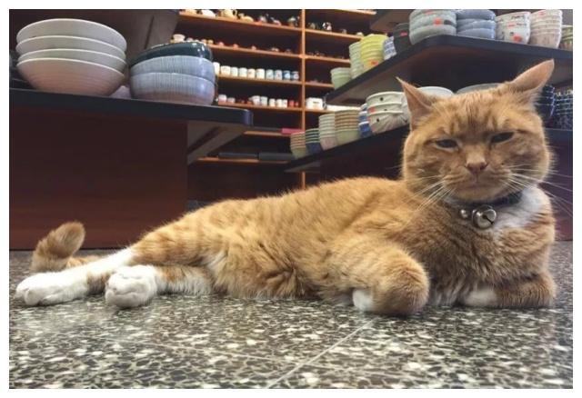 æ©ç«æ¯å¤©å¨åºéé¢âå·¥ä½âï¼9å¹´æ¥å§ç»åå®å²ä½ï¼èæ¿å¿éå¾é«å´