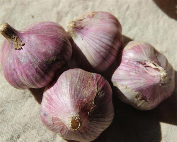 既然古代的"五荤"指的是大葱,革葱,慈葱,兰葱,兴渠,那么现代的"五荤"