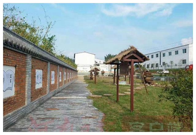 舞钢：点废成“金”乡村净了、美了、还省了