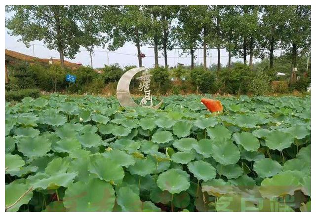 舞钢：点废成“金”乡村净了、美了、还省了