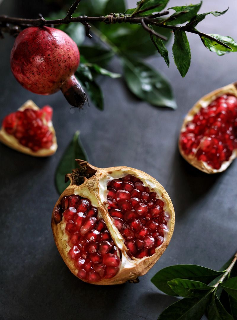 图虫静物摄影:无题