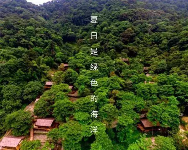 增城态林山居度假木屋,畅玩网红玻璃桥&无限私家温汤+二龙山