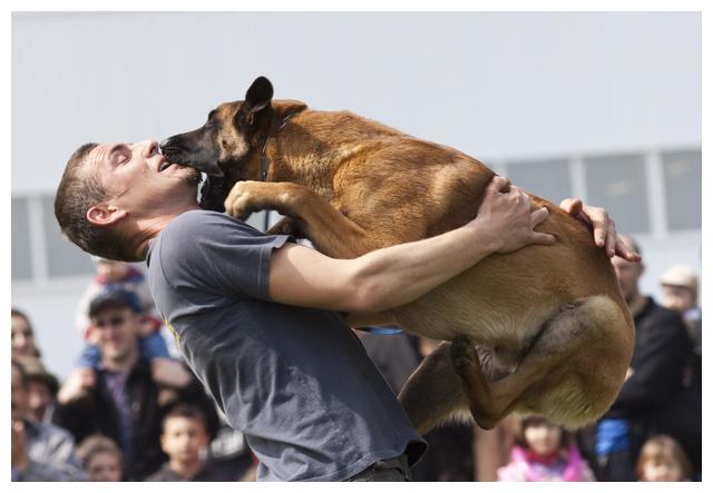 狗狗热情欢迎扑跳,但老人小孩受不了,怎么杜绝狗扑人坏习惯?