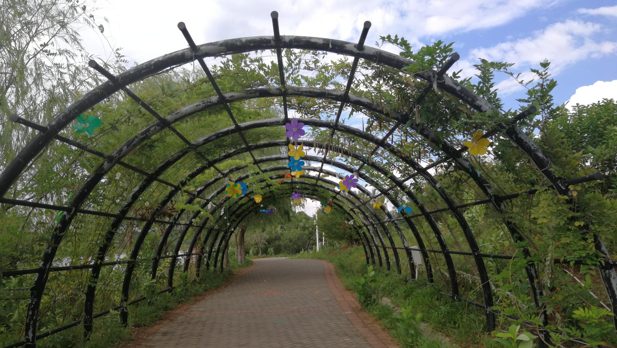 吉安旅游: 柚乡园 远离城市喧嚣 感受田园之美