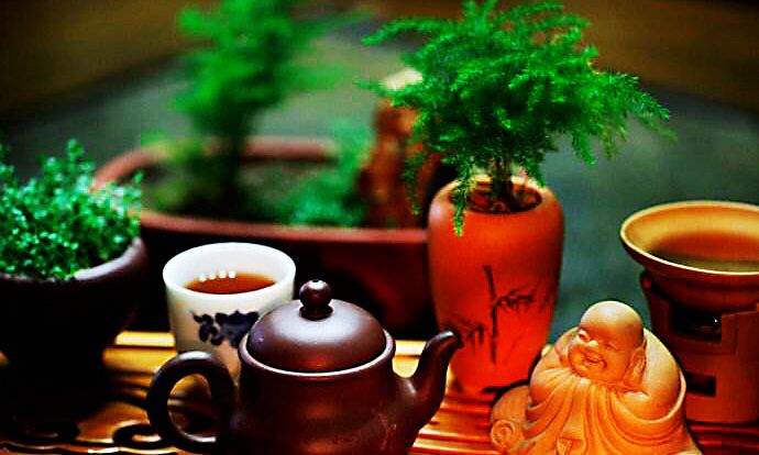 禅茶一味(半盏清茶,观浮沉人生 一颗静心,看清凉世界)