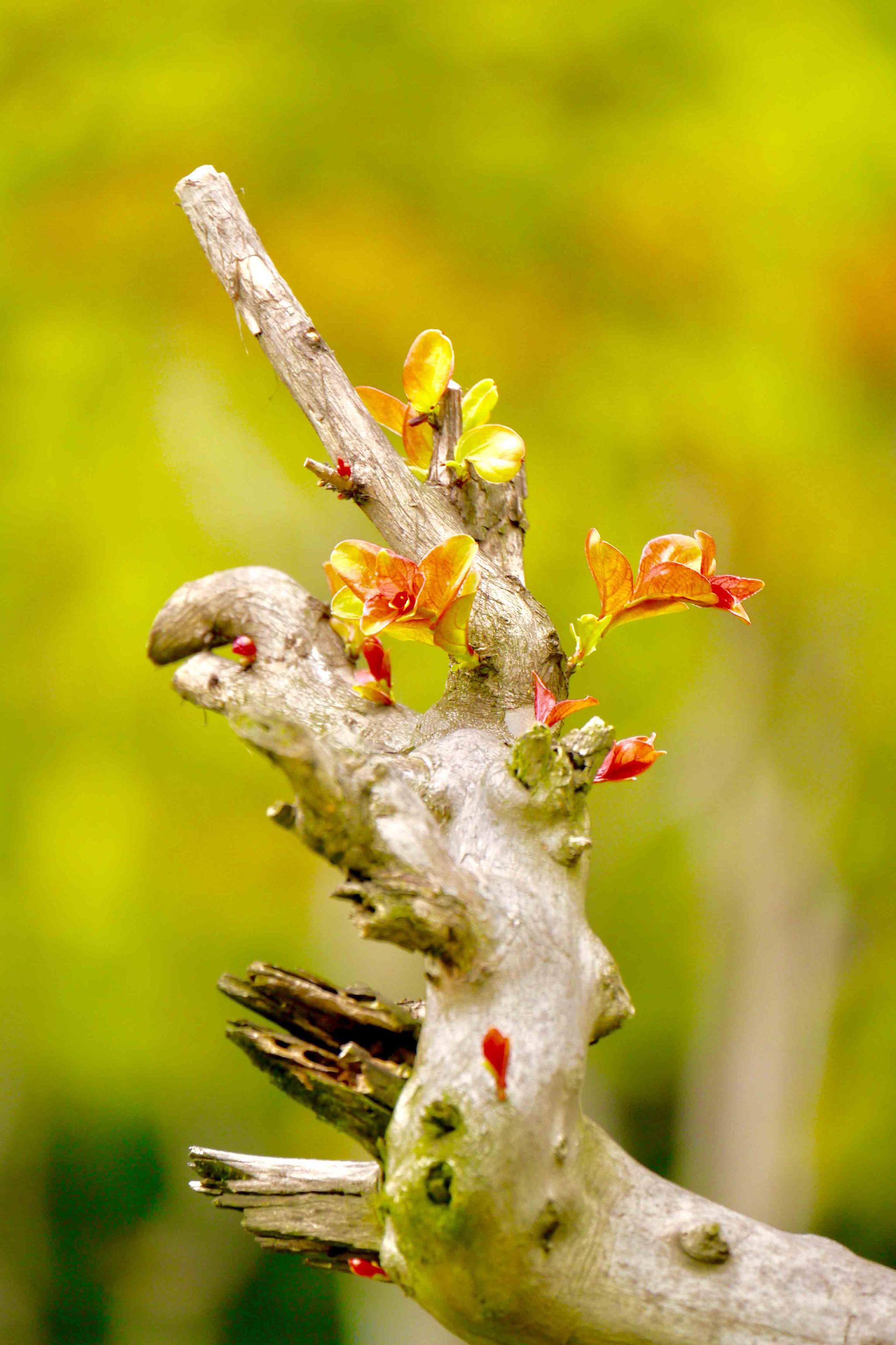 100块约3小时上门人到付款:都市应急服务的平民革命