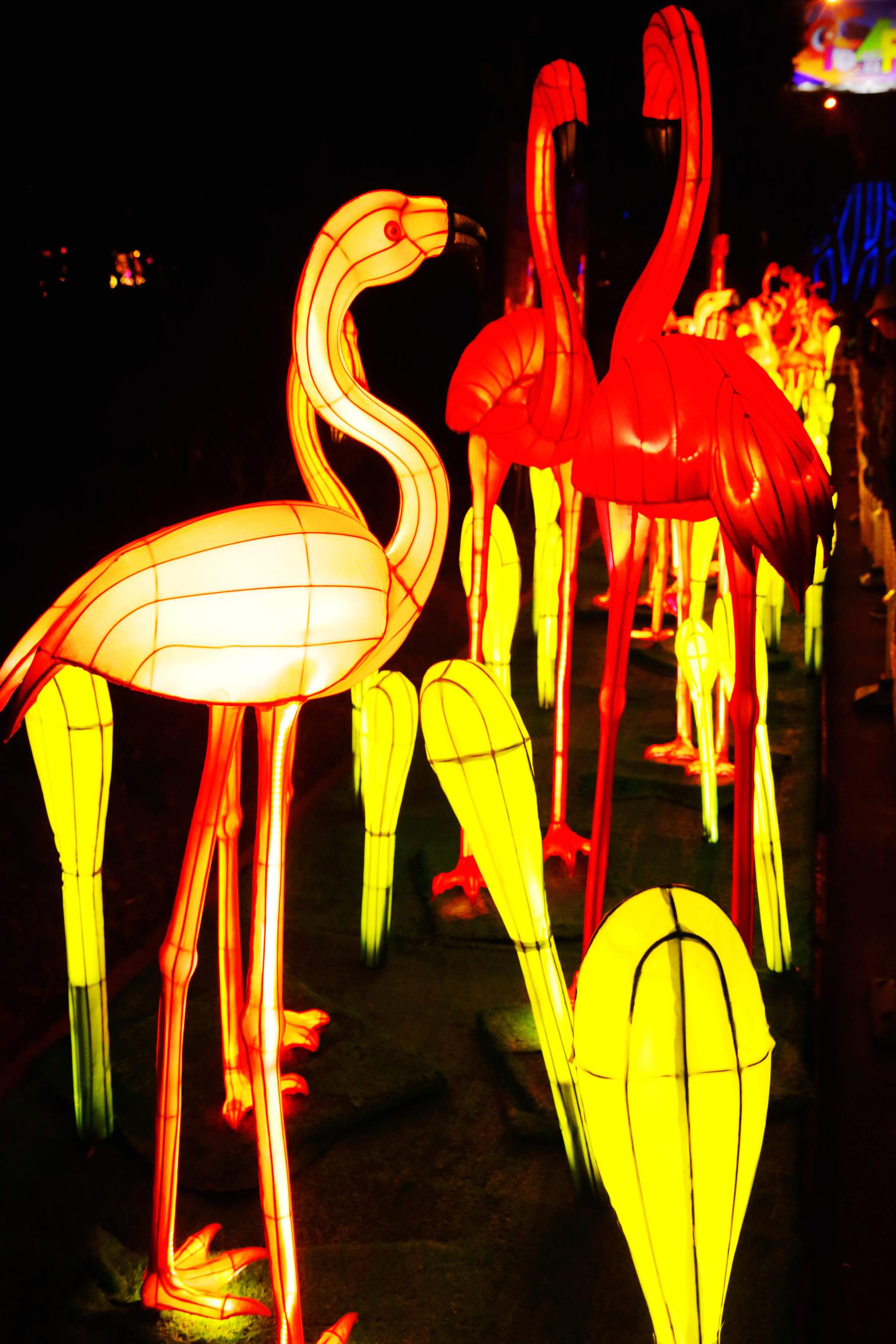 文化点亮新生活己亥年冬欢乐庆——游2020常州灯会浪漫唯美的"麦浪"灯