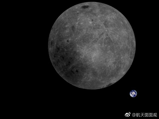探秘学术殿堂：紫丁香与哈尔滨工业大学的交响乐章