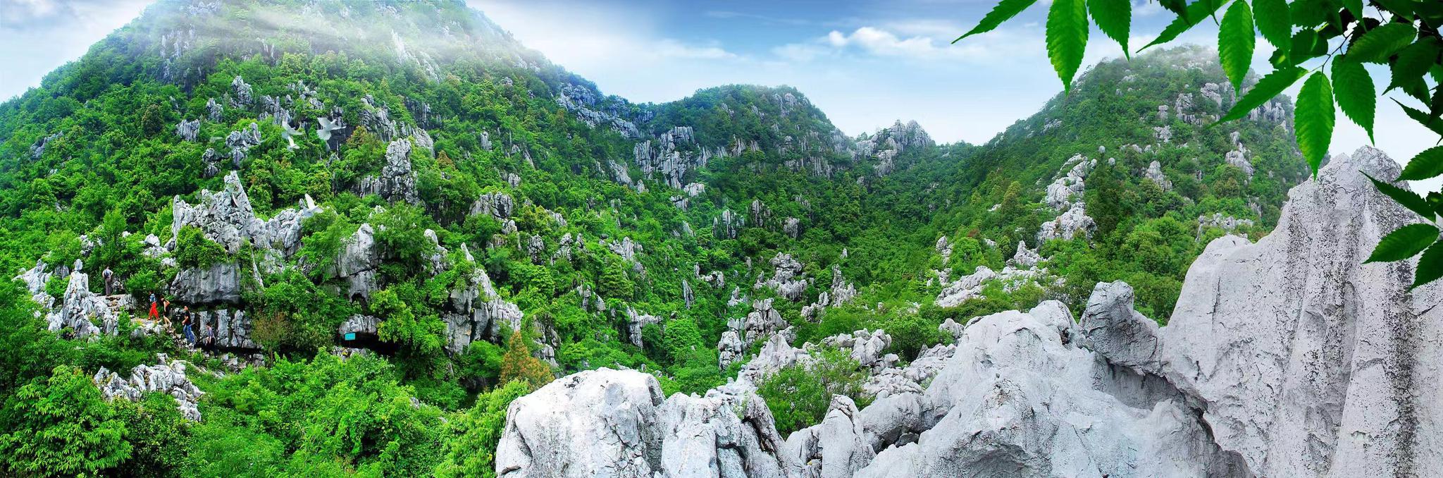 一山一石一树,常山慢城新体验|常山|三衢石林|常山县_新浪新闻