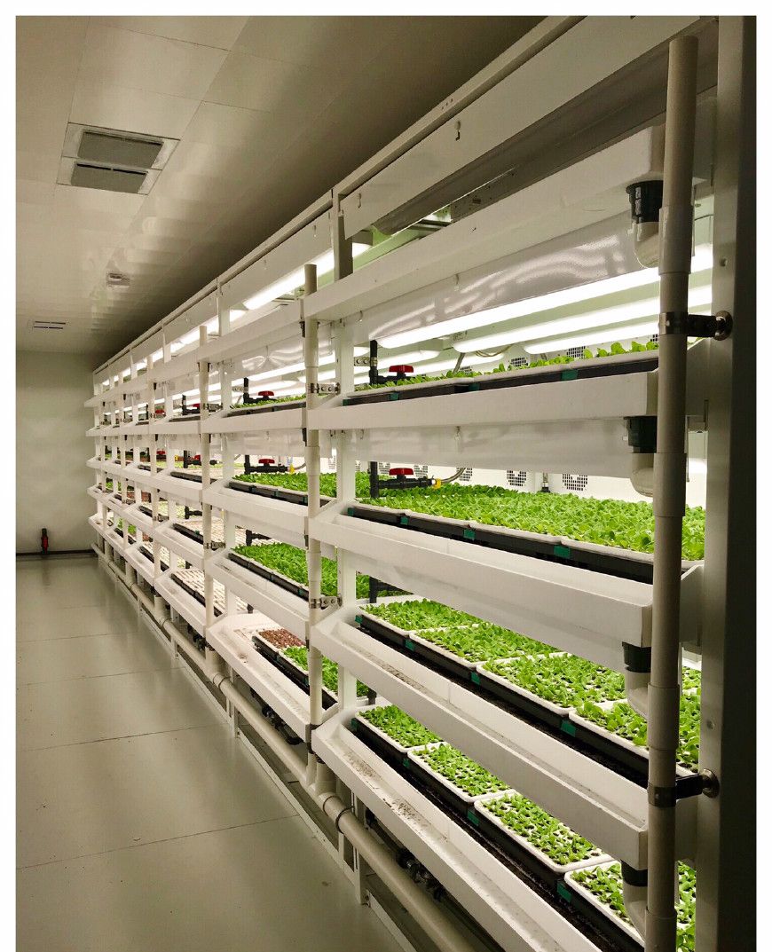 京东植物工厂的精品景观设计