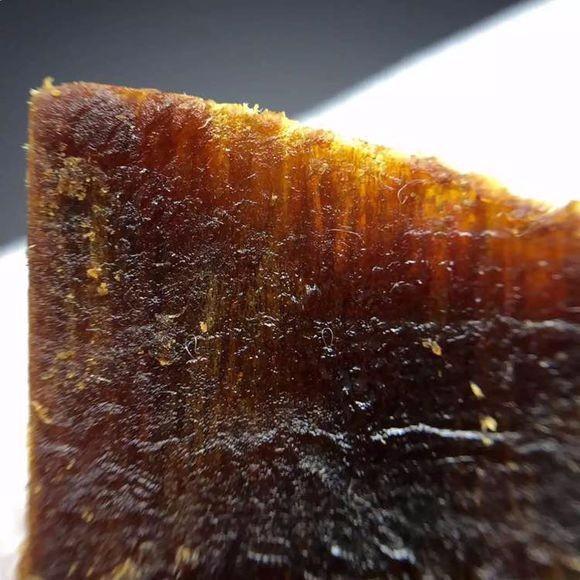 收藏界是怎么看待奇楠沉香的?
