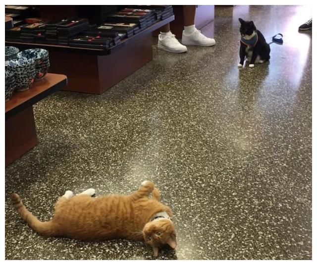 æ©ç«æ¯å¤©å¨åºéé¢âå·¥ä½âï¼9å¹´æ¥å§ç»åå®å²ä½ï¼èæ¿å¿éå¾é«å´