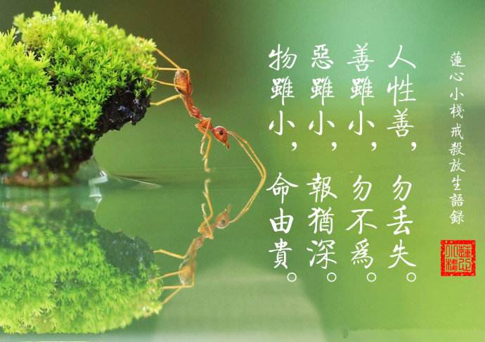 信不信因果报应的,都来看看|因缘|众生|因果_新浪新闻