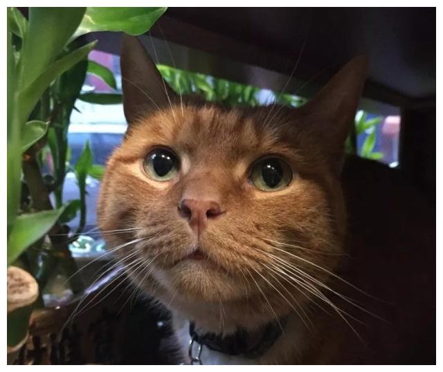 æ©ç«æ¯å¤©å¨åºéé¢âå·¥ä½âï¼9å¹´æ¥å§ç»åå®å²ä½ï¼èæ¿å¿éå¾é«å´
