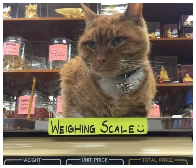 æ©ç«æ¯å¤©å¨åºéé¢âå·¥ä½âï¼9å¹´æ¥å§ç»åå®å²ä½ï¼èæ¿å¿éå¾é«å´